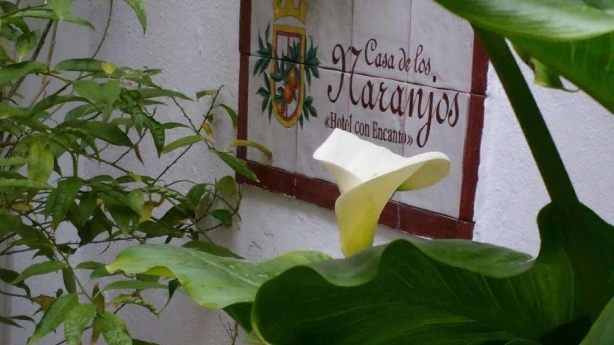 Hotel Boutique Puerta Del Rincon Córdoba Exterior foto